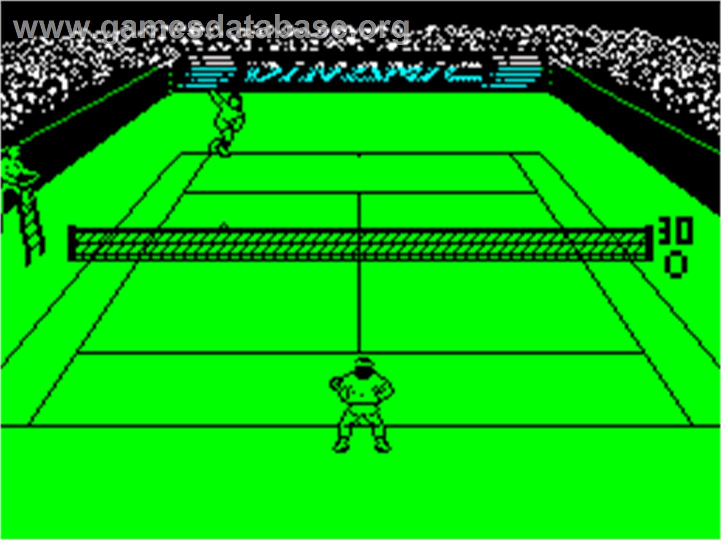 Simulador Profesional de Tenis - Sinclair ZX Spectrum - Artwork - In Game