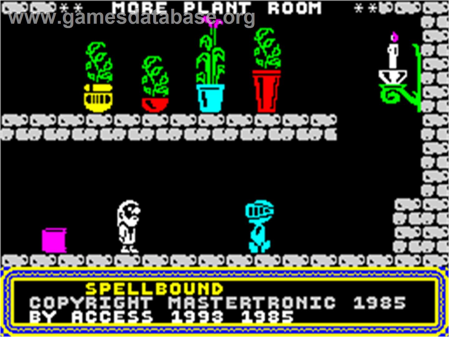 Spellbound - Sinclair ZX Spectrum - Artwork - In Game