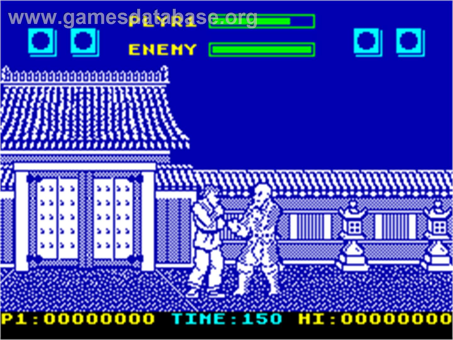 Street Fighter II - Sinclair ZX Spectrum - Artwork - In Game