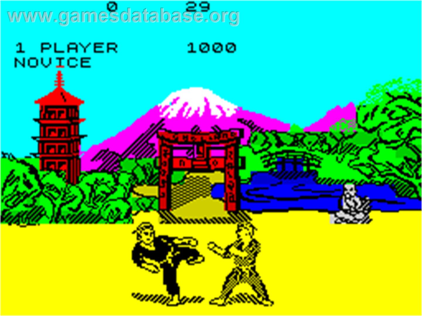 The Way of the Exploding Fist - Sinclair ZX Spectrum - Artwork - In Game