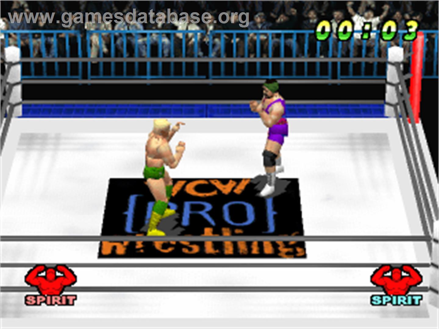 WCW vs. the World - Sony Playstation - Artwork - In Game