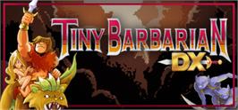 Banner artwork for Tiny Barbarian DX.