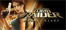Banner artwork for Tomb Raider: Anniversary.