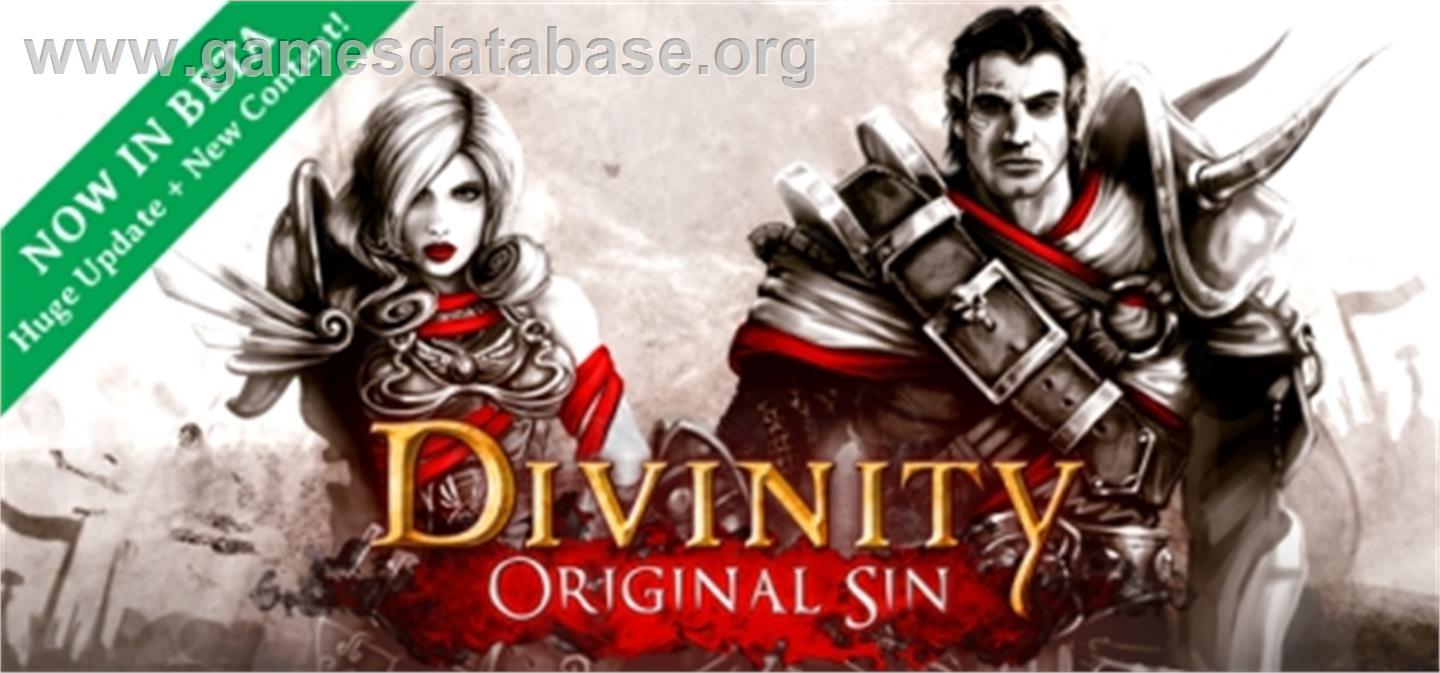 Divinity: Original Sin - Valve Steam - Artwork - Banner