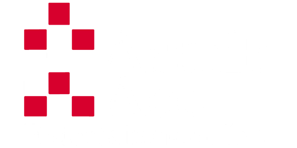 Asmik Ace Entertainment logo