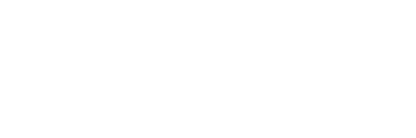 Bothtec logo