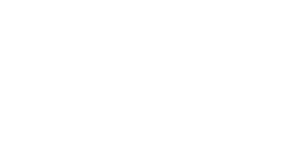 CDV Software logo