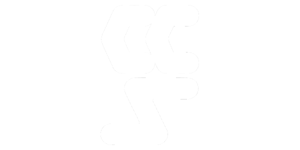 Cases Computer Simulations logo