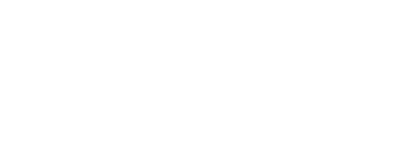 Datasoft, Inc. logo