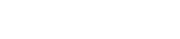 DesignWare logo