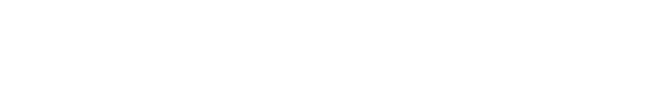 Discovery Informatic logo