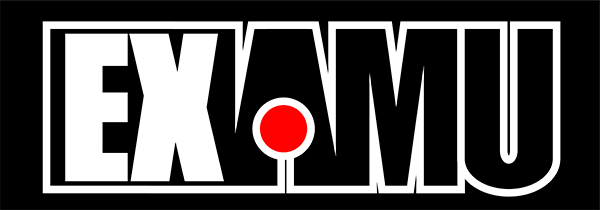 Examu logo
