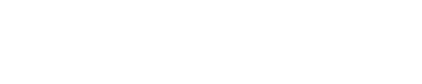 Instant Access International logo