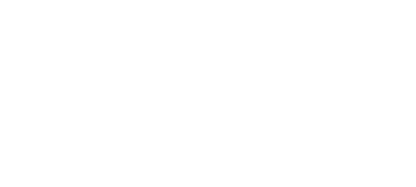 Intrigue Software logo