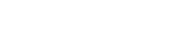 Lightning Software logo