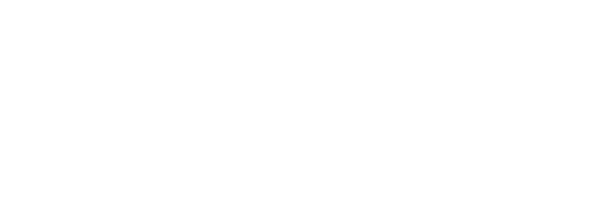 Linel Software logo