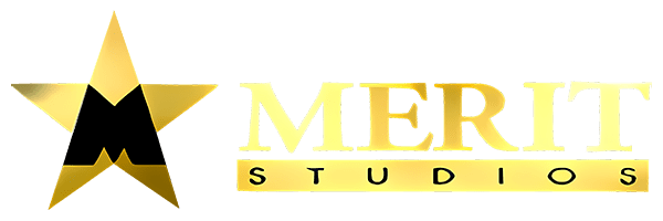 Merit Studios logo