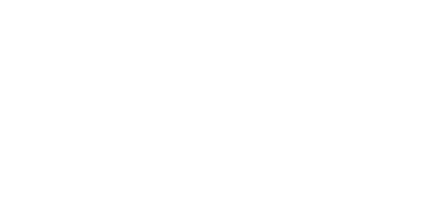 Paragon Software logo