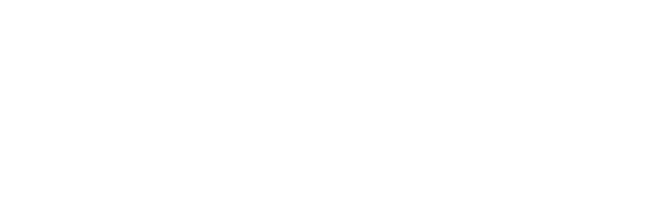RedCat Software logo