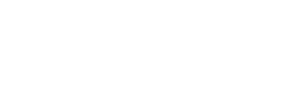 Softsmith Software logo