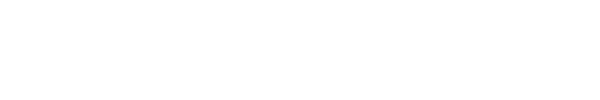 Strategy Software logo