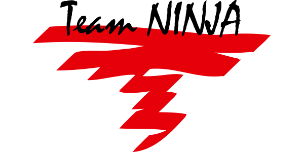 Team Ninja logo