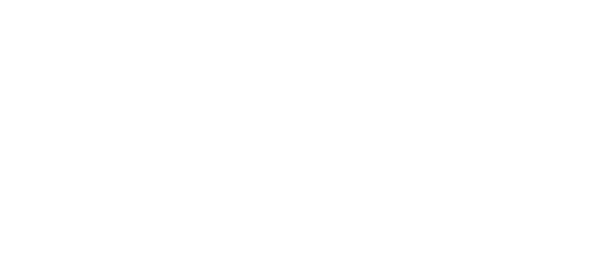 Vantan International logo
