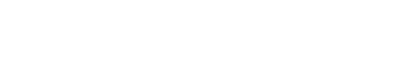 Velocity logo
