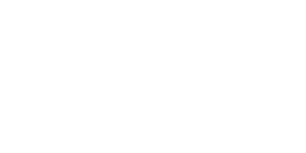 Wesson International logo