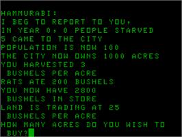 In game image of Hammurabi on the Acorn Atom.