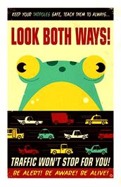Box cover for Frogger (AnF) on the Acorn BBC Micro.