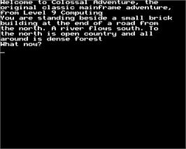 In game image of Colossal Adventure on the Acorn BBC Micro.