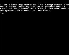 In game image of Hex on the Acorn BBC Micro.