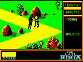 In game image of Last Ninja, The on the Acorn BBC Micro.