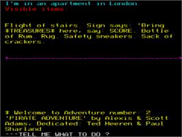 In game image of Pirate Adventure on the Acorn BBC Micro.