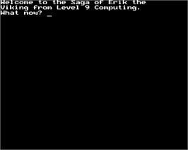 In game image of Saga of Erik the Viking, The on the Acorn BBC Micro.
