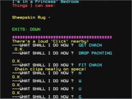 In game image of Wizard Of Akyrz, The on the Acorn BBC Micro.