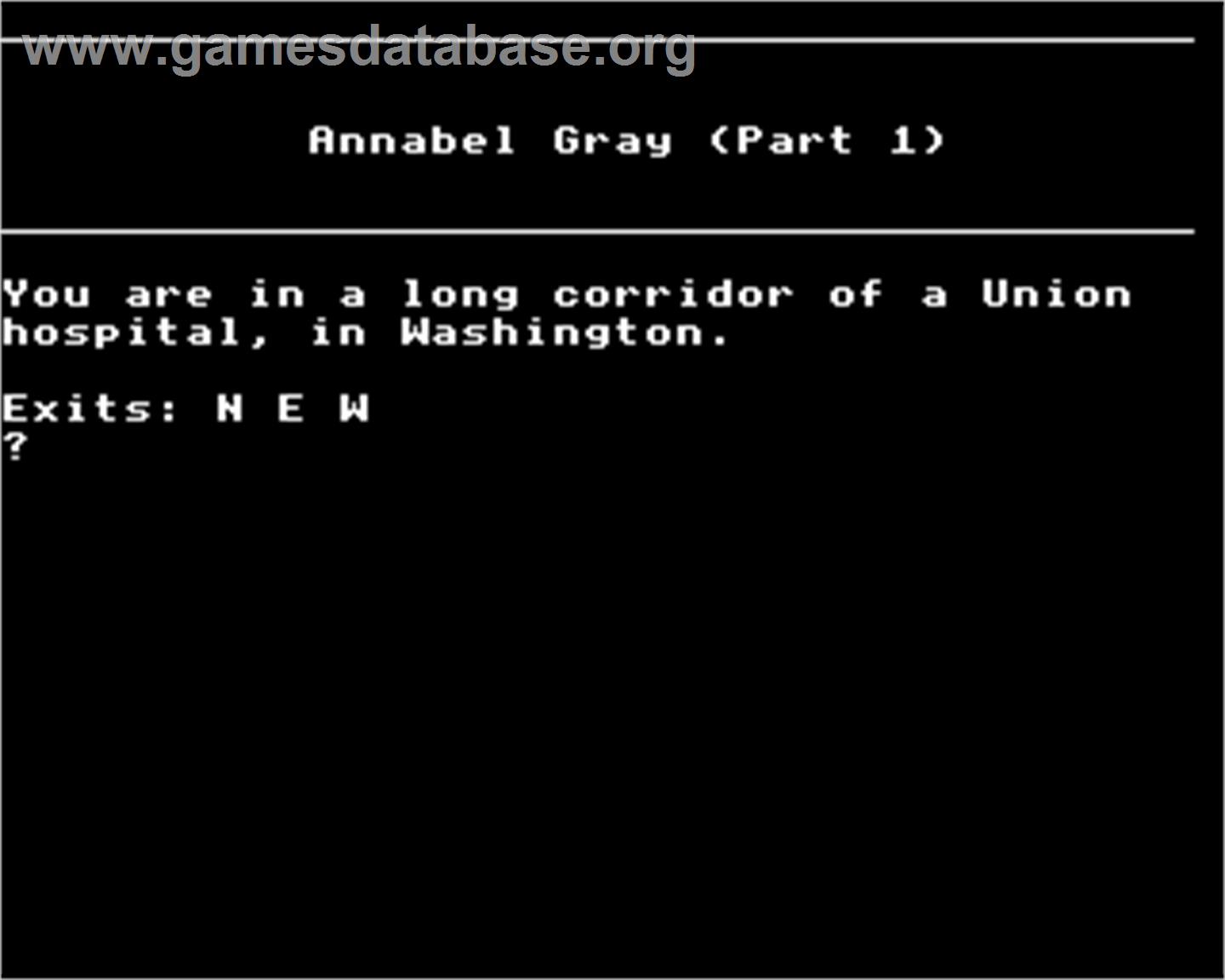 Annabel Gray - Acorn BBC Micro - Artwork - In Game