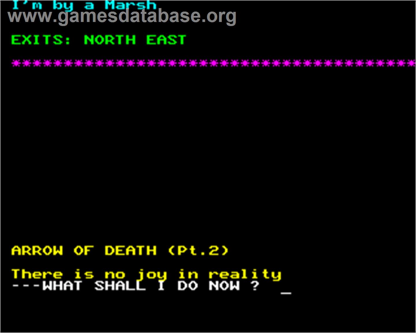 Arrow of Death - Part II - Acorn BBC Micro - Artwork - In Game