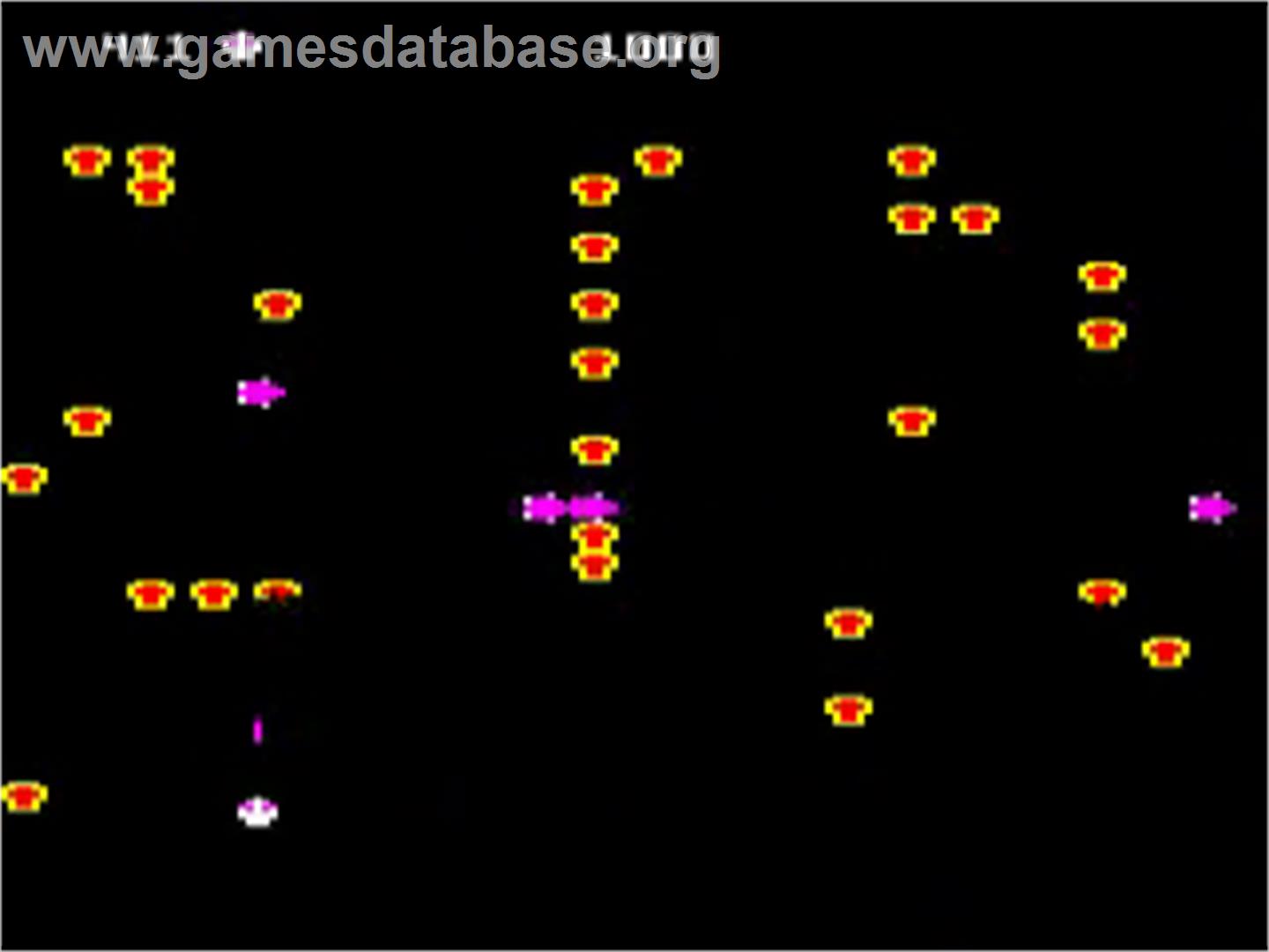 Bug Blaster - Acorn BBC Micro - Artwork - In Game