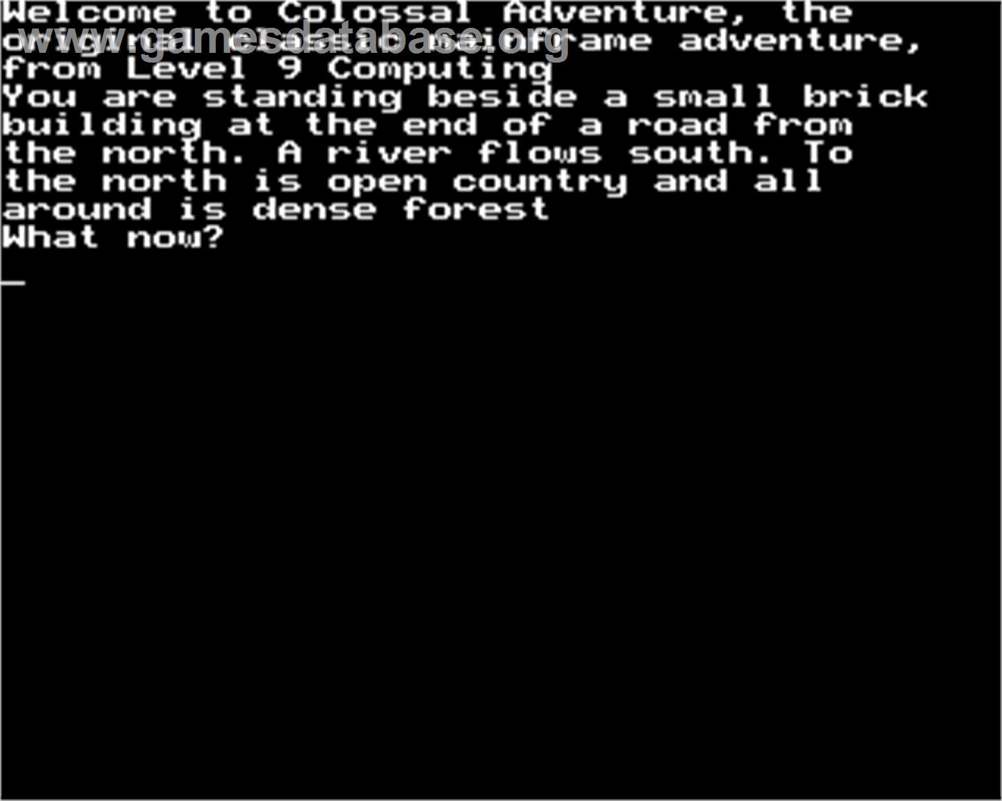Colossal Adventure - Acorn BBC Micro - Artwork - In Game