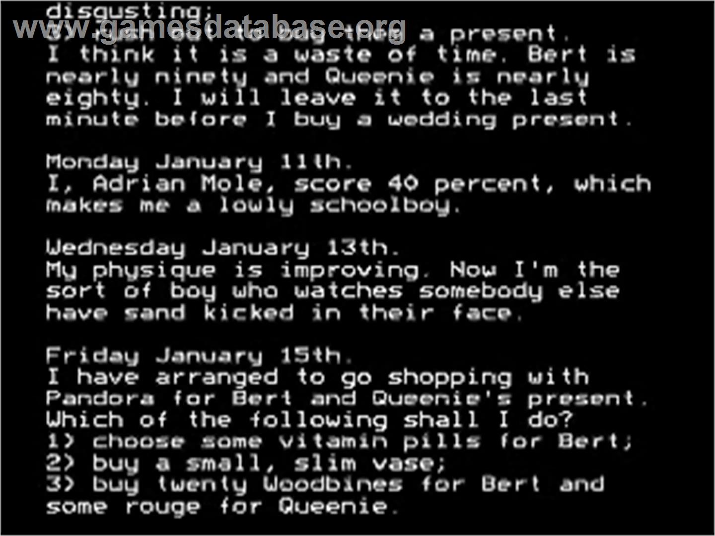 Growing Pains Of Adrian Mole, The - Acorn BBC Micro - Artwork - In Game
