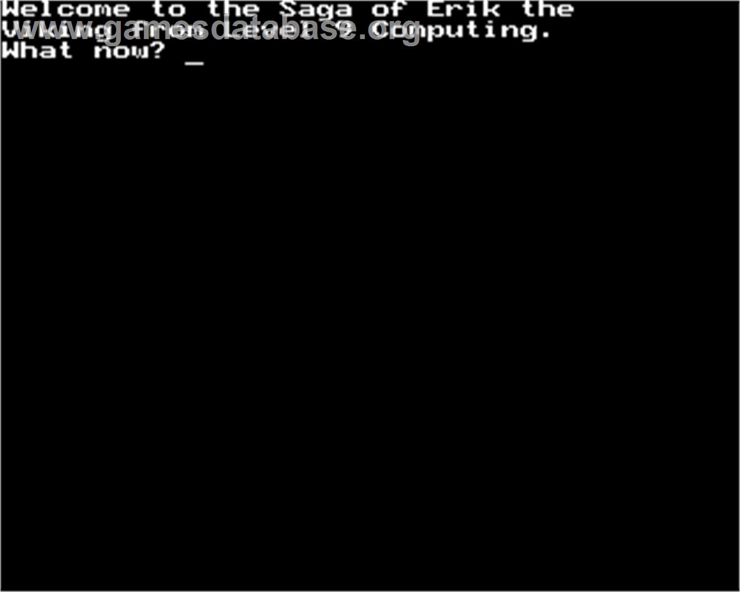 Saga of Erik the Viking, The - Acorn BBC Micro - Artwork - In Game