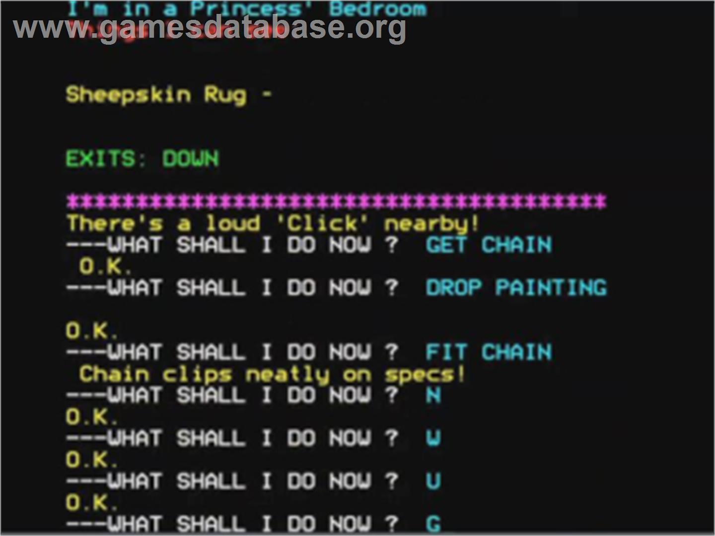 Wizard Of Akyrz, The - Acorn BBC Micro - Artwork - In Game