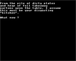 In game image of Hampstead on the Acorn Electron.