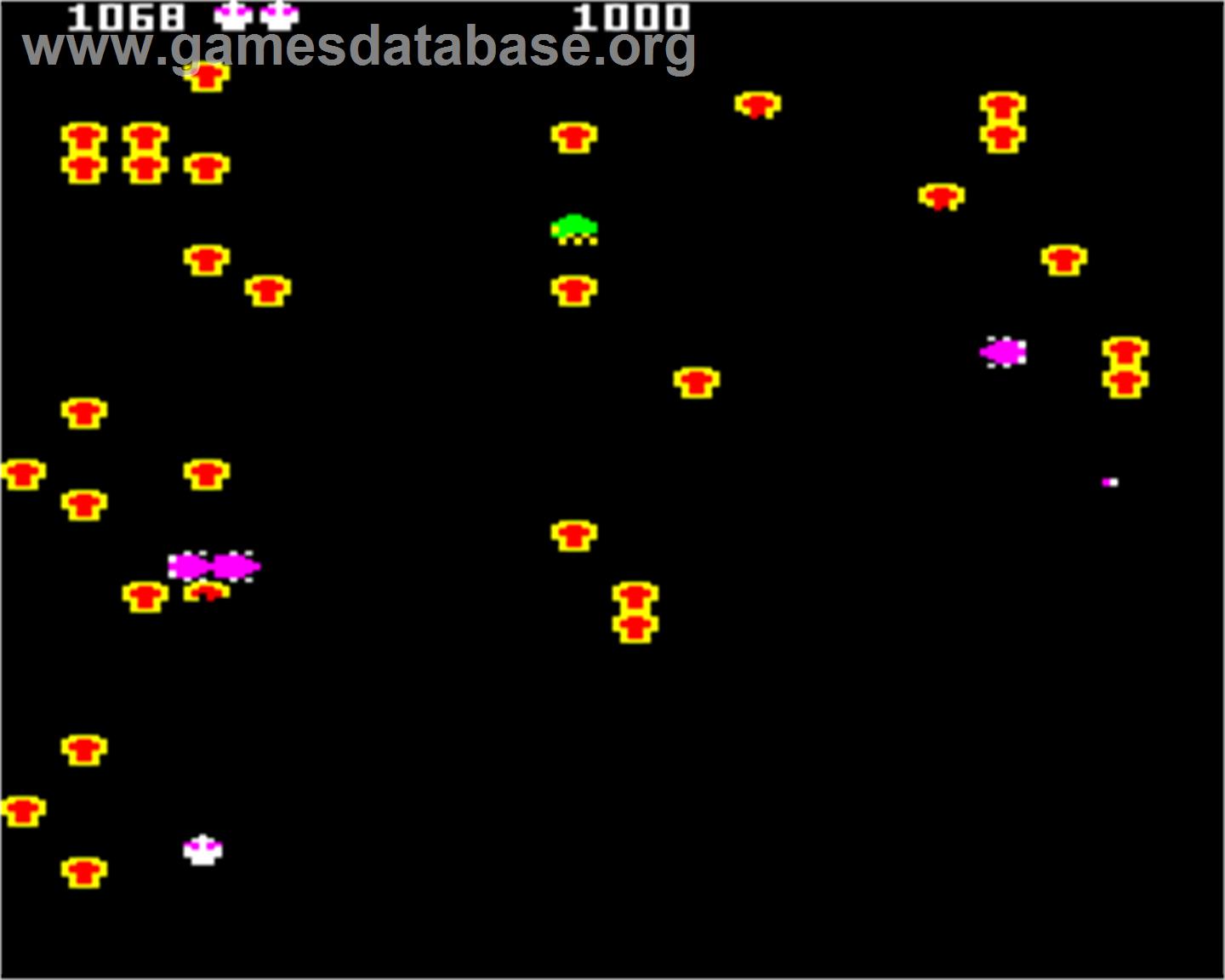 Bug Blaster - Acorn Electron - Artwork - In Game