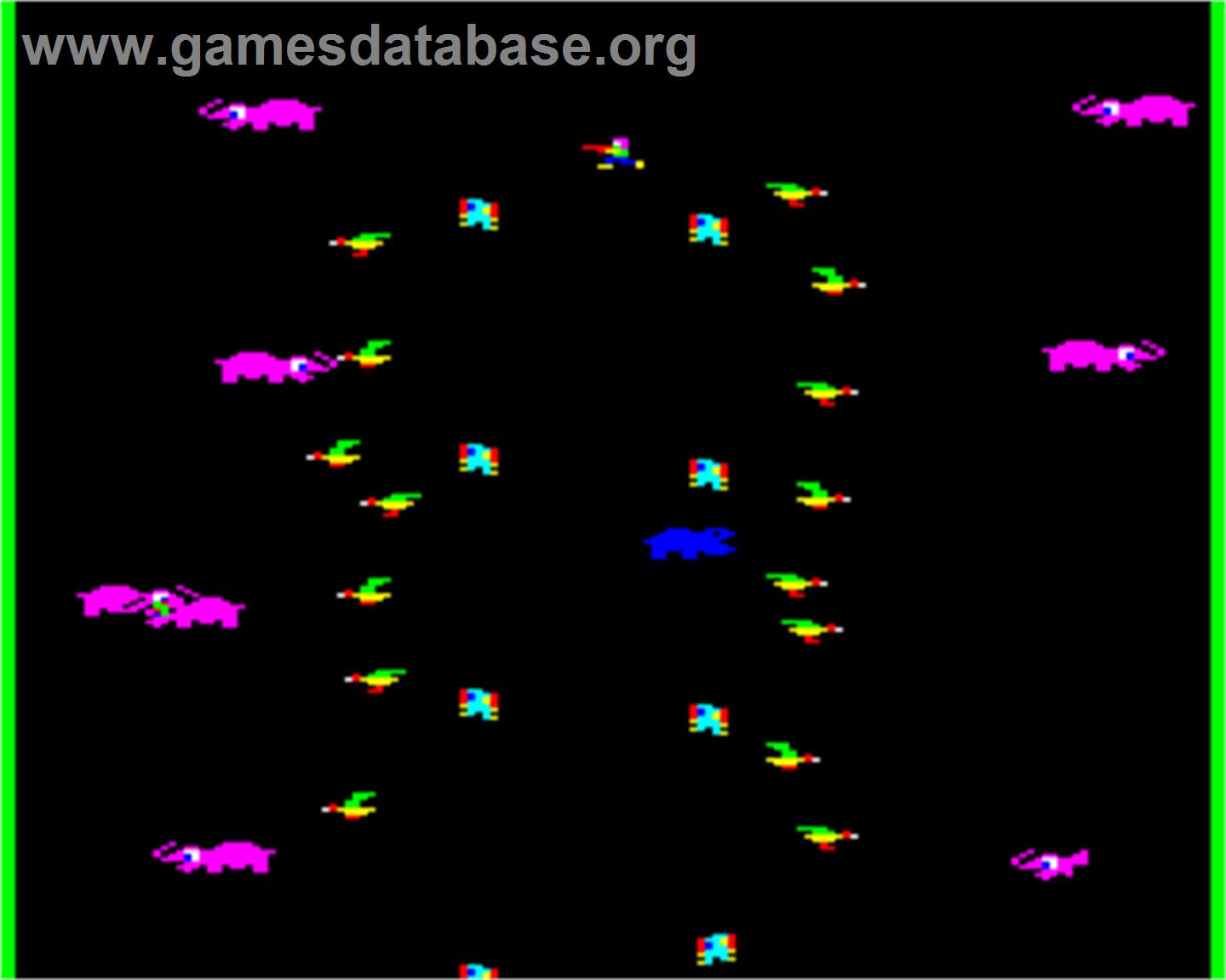 Jungle Jive - Acorn Electron - Artwork - In Game