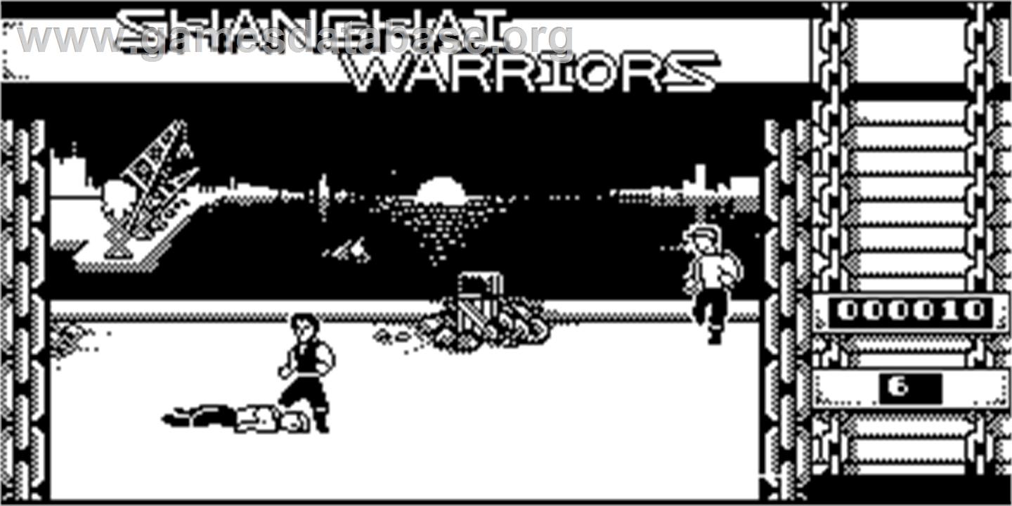 Shanghai Warriors - Acorn Electron - Artwork - In Game