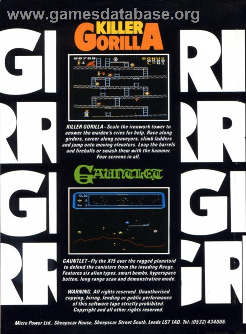 Gauntlet - Amstrad CPC - Artwork - Box Back