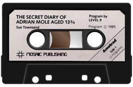 Cartridge artwork for Secret Diary Of Adrian Mole Aged 13, The on the Amstrad CPC.